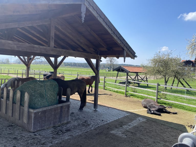 Box aperto con percorso di trail