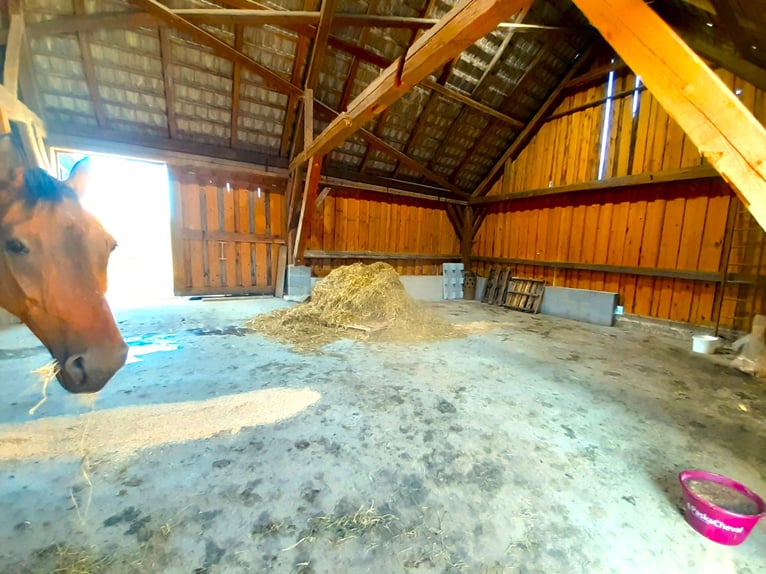 Posto di sosta nel mio cortile privato a forma di quadrilatero, nel Waldviertel