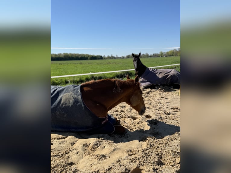 Posto per trail direttamente sul Mare del Nord