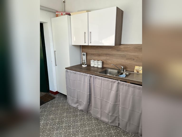 2 posti nel paddock per cavalli allergici o pensionati (stalloni)