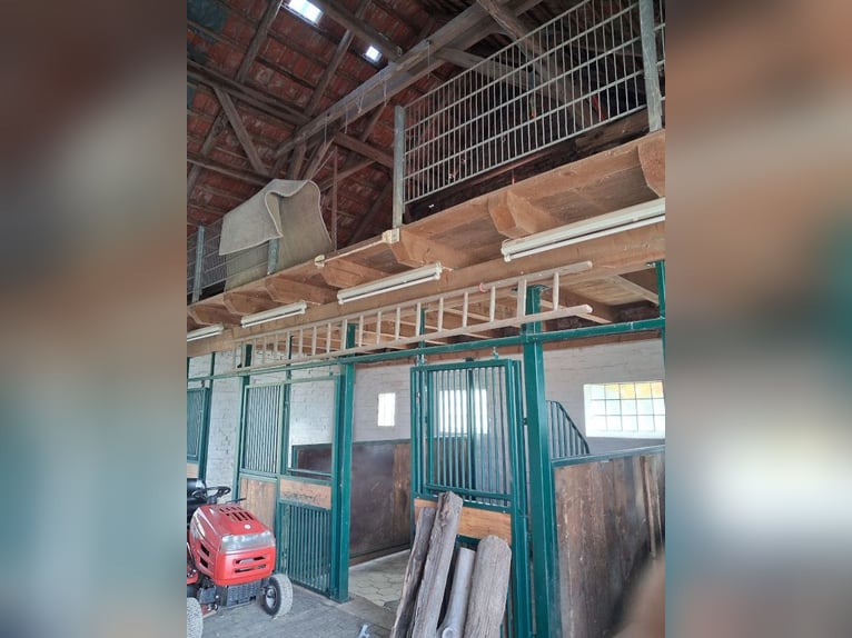 Allevamento di cavalli in un vecchio cascinale, stalla in mattoni robusta con paddock, Foresta di Te