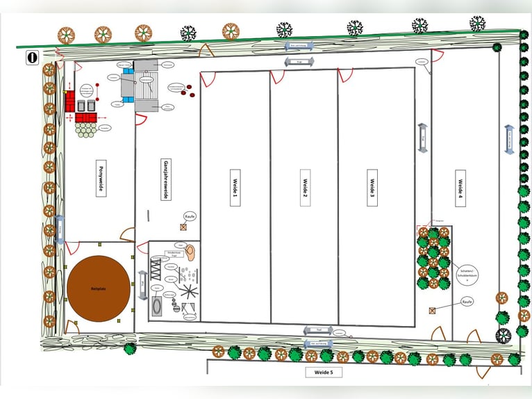 Box in paddock with trail riding opportunities in 25336 Klein Nordende