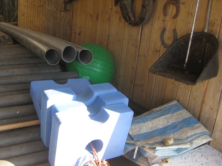 Box to be kept open for a well-behaved barefoot gelding available