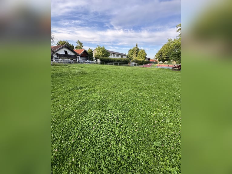 Günstiger, traumhafter Einstellplatz 
