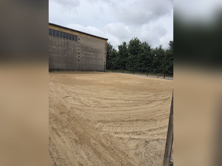 Large stables with covered paddock