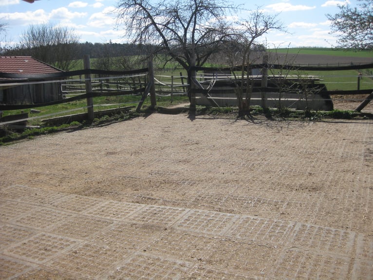 Offenstall f. Teil-/Selbstversorger f. 2 - 4 Pferde