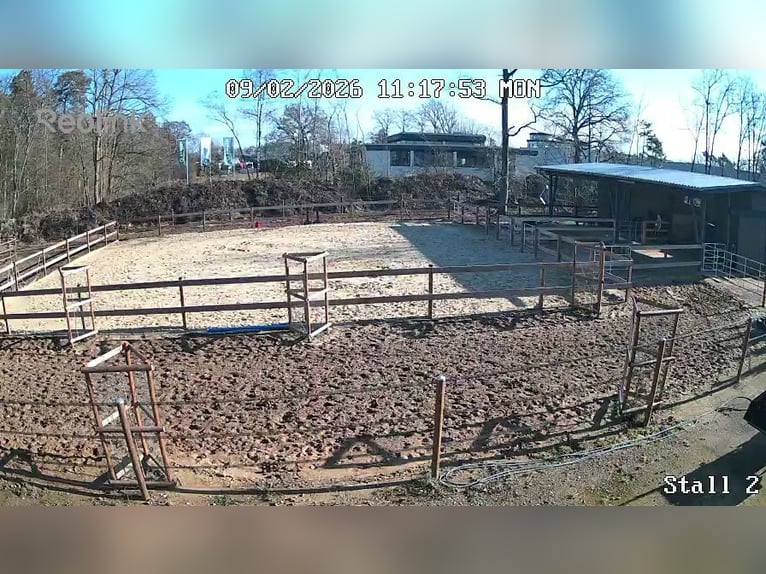 Offenstall Selbstversorger für dich ganz alleine