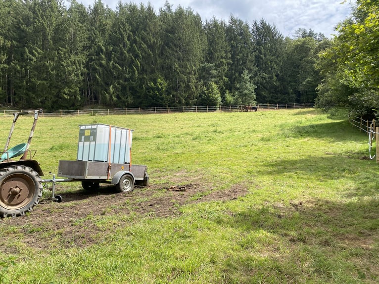 Offenstallplatz mit Koppeln für 1 bis 2 Pferde