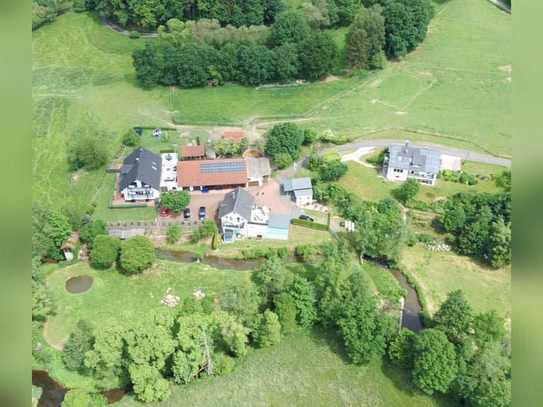 Paradiso di paddock all'aperto vicino al lago di Marbacher (Petersberg): posti disponibili!