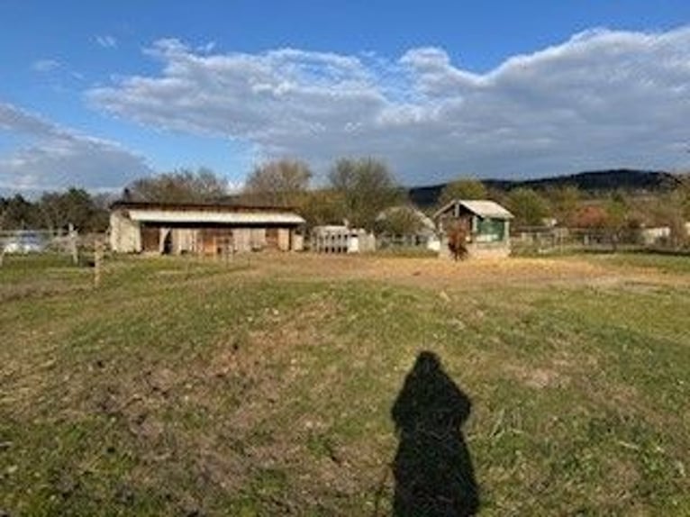 Posto all'aperto per grande cavallo o pony – a contatto con la natura e senza complicazioni