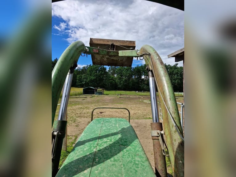 Posto box in paddock a Bullach (91207) per gruppo di 2 cavalli