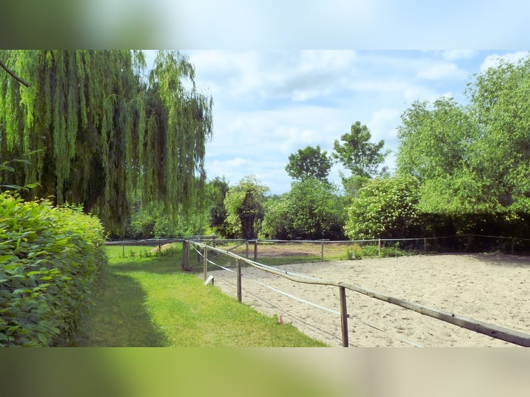 Posto boxe libero con paddock e box personale per la notte