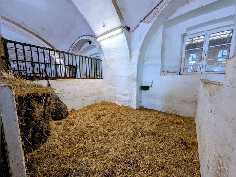 Posto di sosta con maneggio presso il centro equestre Schloss Niederabsdorf (distretto GF)