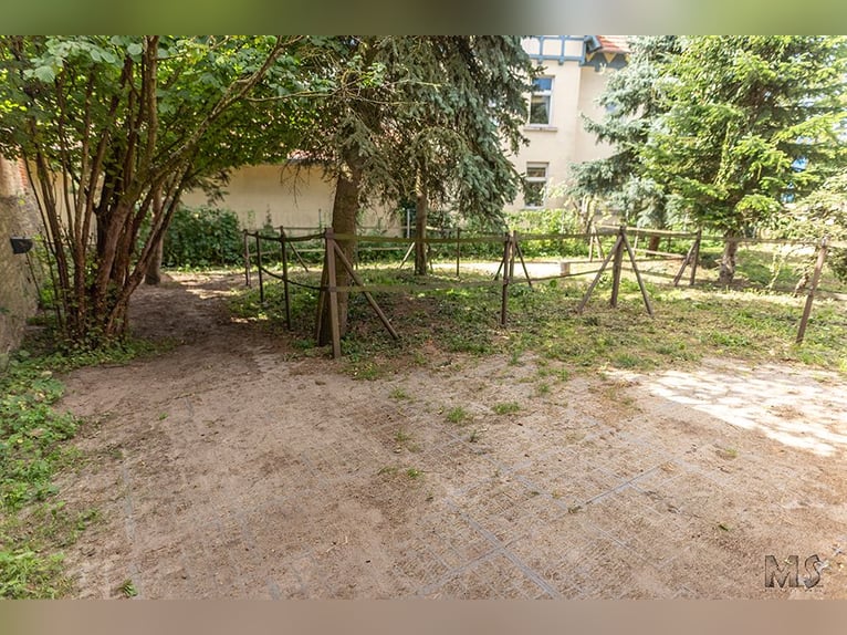 Posto disponibile nel mini paddock trail nel sud-est della Bassa Sassonia