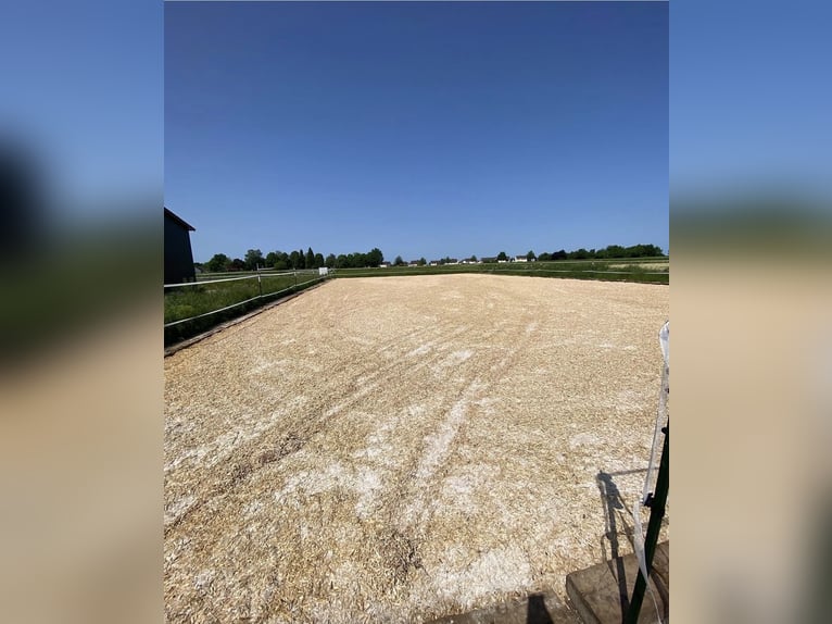 Posto in paddock disponibile alla fine di maggio