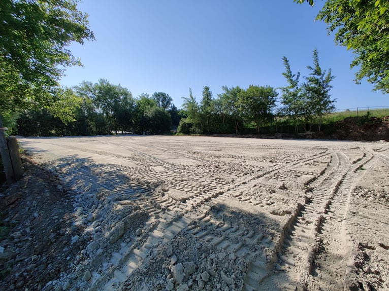 Posto in paddock o box singola con pensione completa disponibile