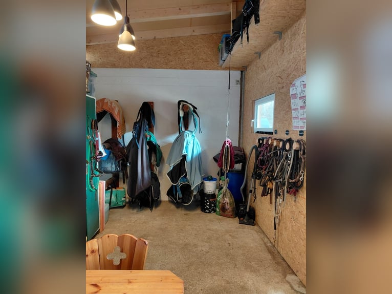 Recinto privato all'aperto