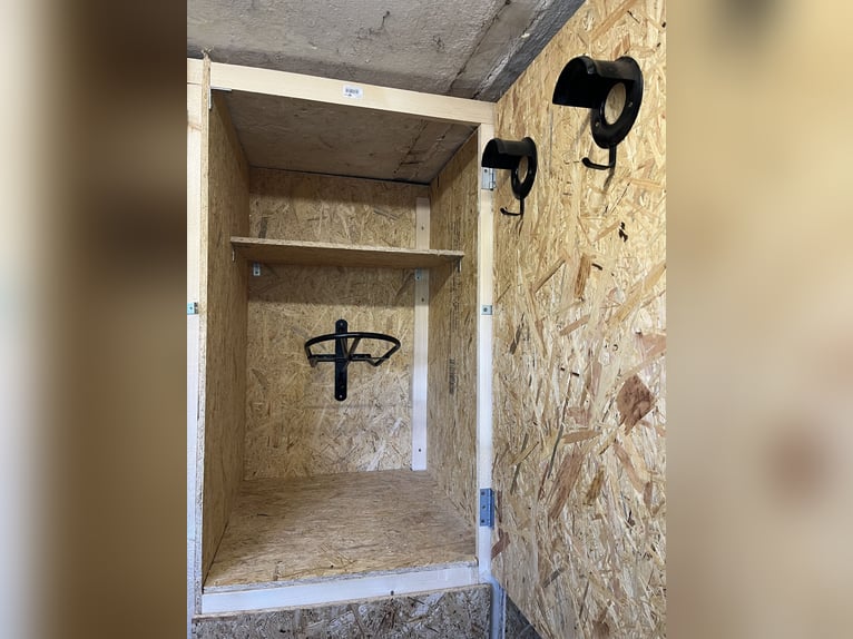 Ruhiger Offenstallplatz zu vergeben