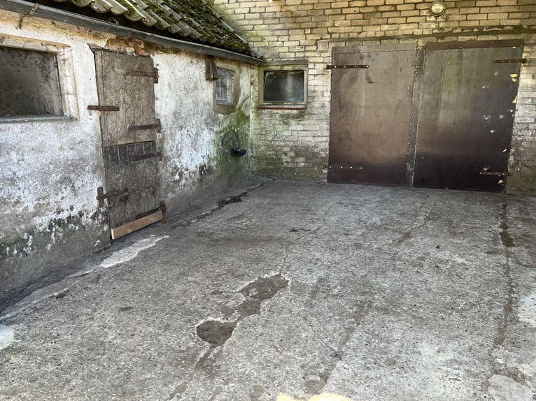 Ruhiger Offenstallplatz zu vergeben