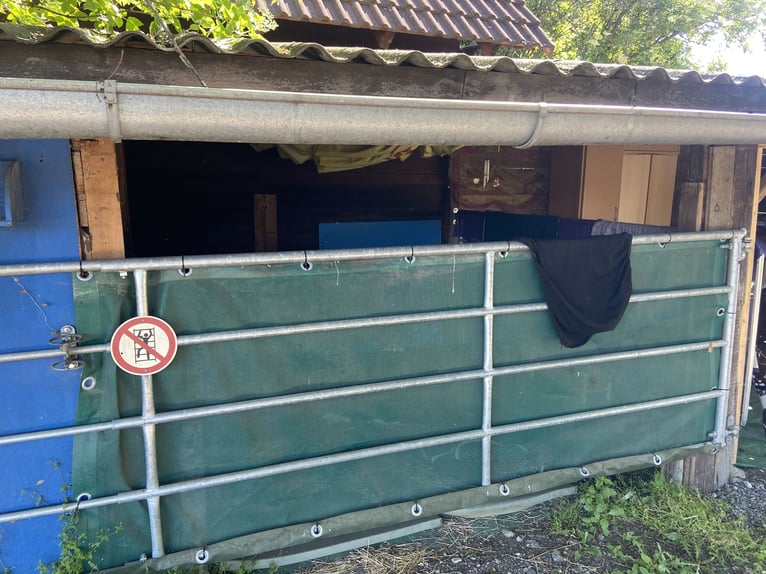 Selbstversorgeroffenstall für Kleinpferde und Ponys
