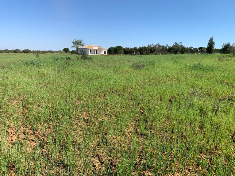 2 Traumgrundstücke ( insgesamt 137.000 qm) in Andalusien/ Almonte