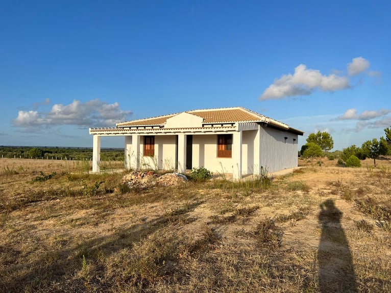 2 Traumgrundstücke ( insgesamt 137.000 qm) in Andalusien/ Almonte
