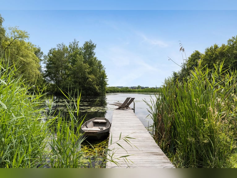 A beautiful equestrian facility, situated on a dream location!