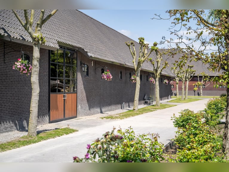 A beautiful, fully equipped equestrian facility located in a fantastic location