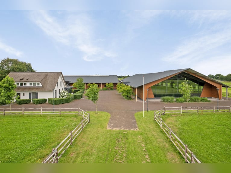 A Stunning Equestrian Estate with Endless Possibilities for the Professional Horse Enthusiast!