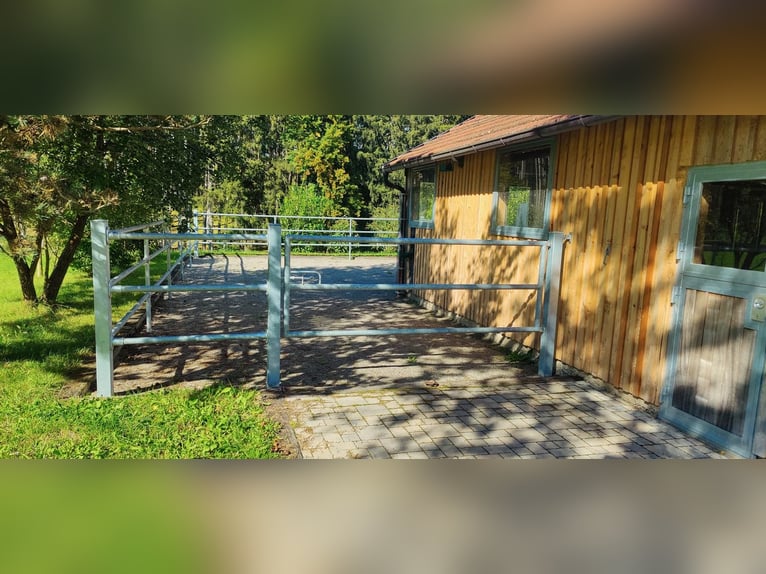 Acquisto di una casa colonica o di una fattoria in Allgäu, posizione isolata con circa 11 ettari di
