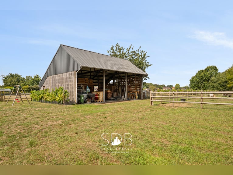 Affascinante proprietà con vigneto e pascoli su 14.569 m² a Wachtebeke | Belgio