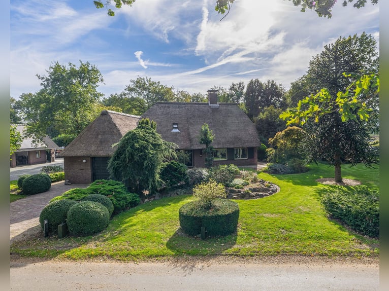 Amazing location for horselovers