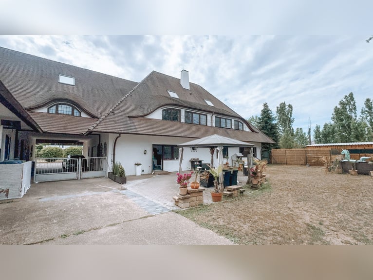 Ampio complesso equestre con una residenza di eccezionale livello, cinque unità abitative, maneggio 