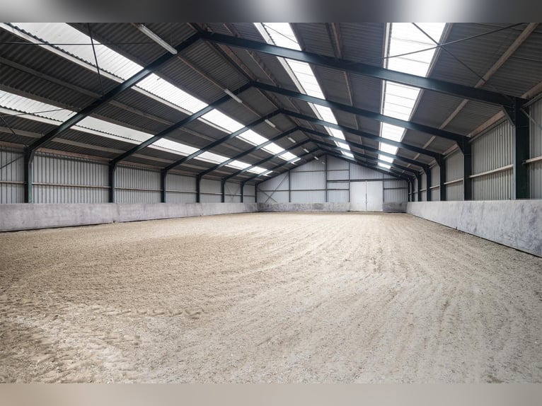 An exceptional equestrian estate with outstanding facilities!