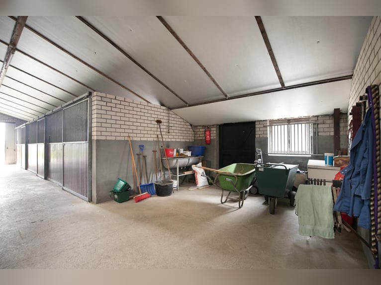 An exceptional equestrian estate with outstanding facilities!