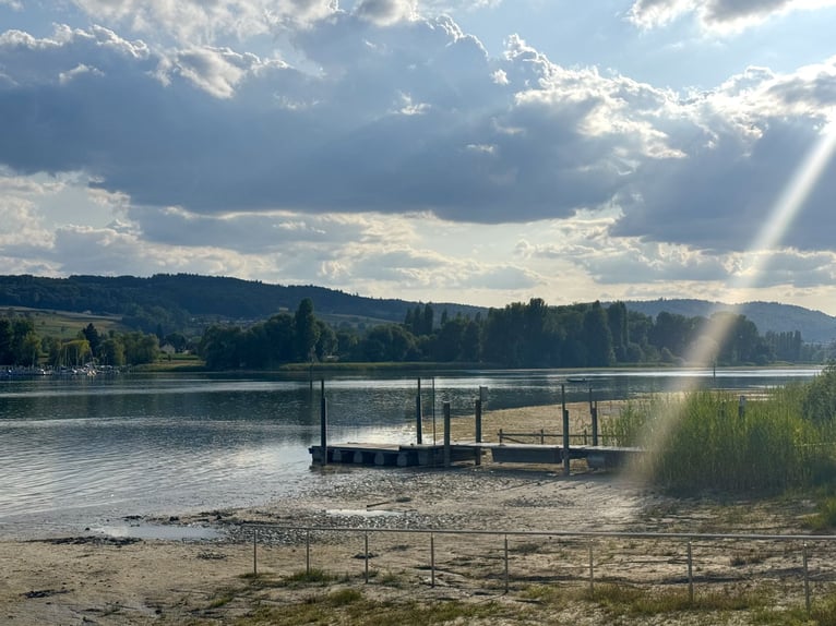 Antica tenuta agricola di 40 ettari con terreni circostanti e allevamento di cavalli, vicino al Lago