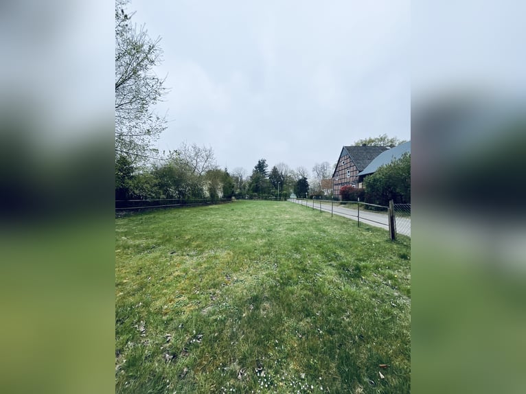 Attraktiver Resthof mit großer Scheune, Stallgebäude und Wiese im schönen Wendland