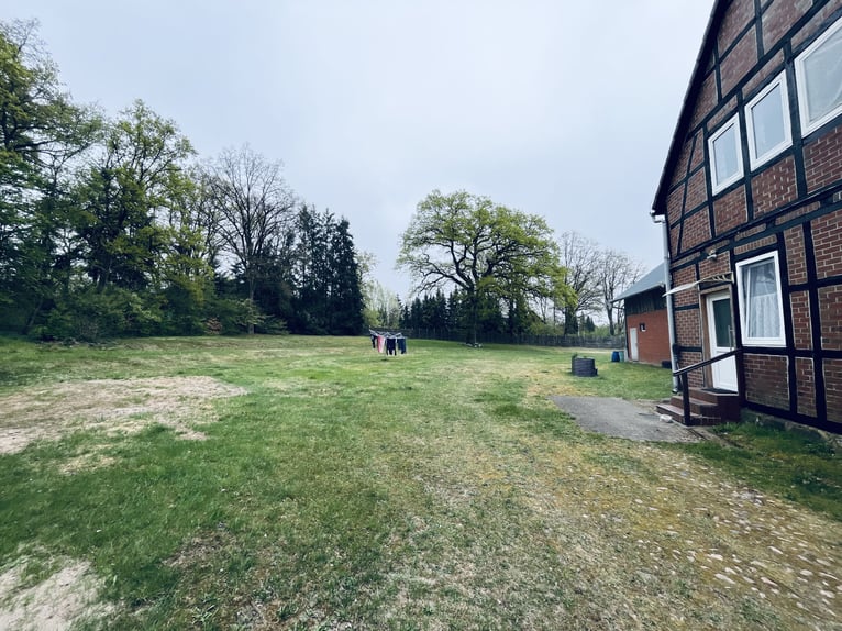Attraktiver Resthof mit großer Scheune, Stallgebäude und Wiese im schönen Wendland