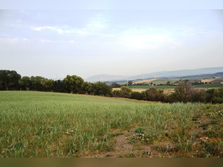 Aussicht, Aussicht, Aussicht.