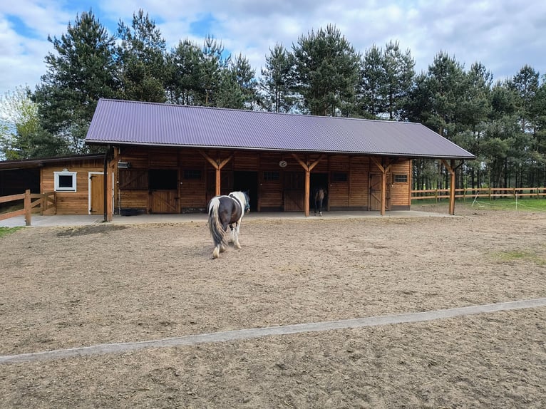 Azienda agricola con scuderia, centro equestre, casa di campagna / Casa di campagna con stalla