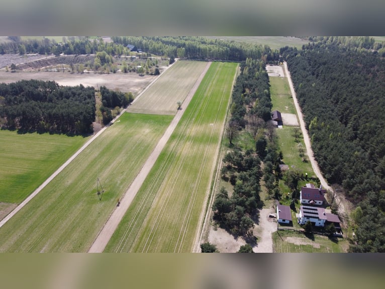 Azienda agricola con scuderia, centro equestre, casa di campagna / Casa di campagna con stalla