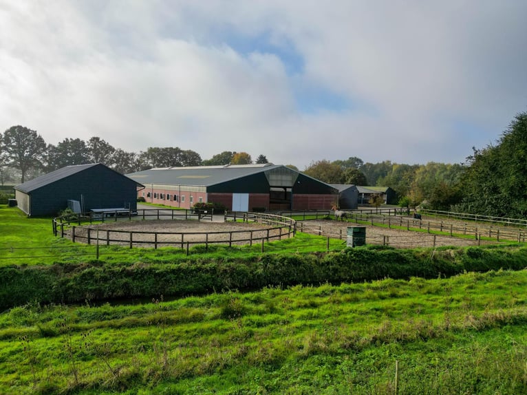 Azienda con strutture equestre professionali e ampie soluzioni abitative