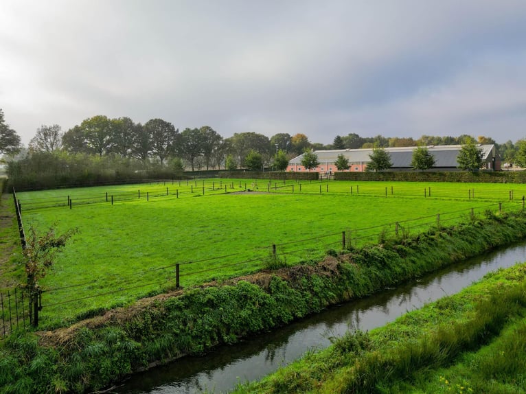 Azienda con strutture equestre professionali e ampie soluzioni abitative