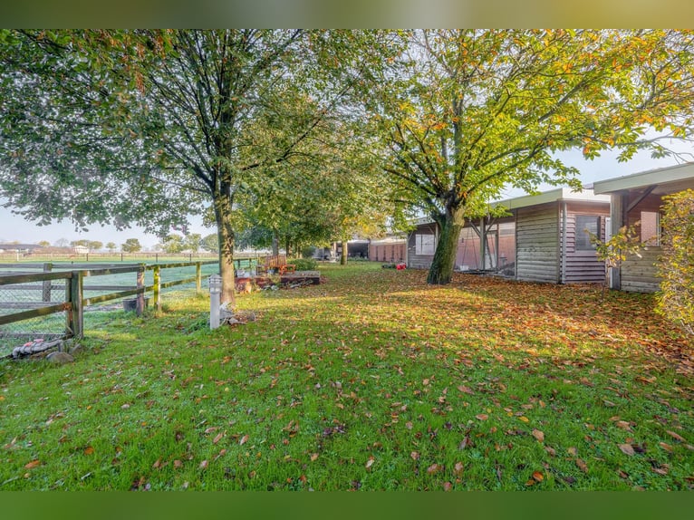 Azienda con strutture equestre professionali e ampie soluzioni abitative