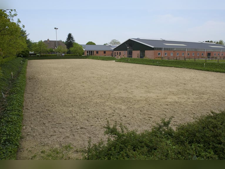 Azienda con strutture equestre professionali e ampie soluzioni abitative