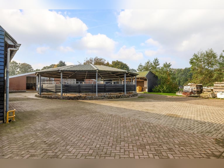 Azienda con strutture equestre professionali e ampie soluzioni abitative