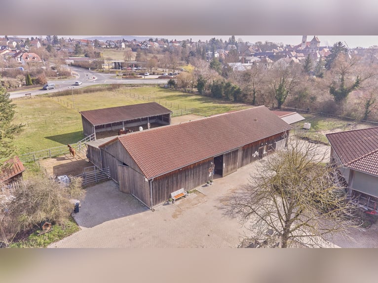 Azienda equestre in vendita nel distretto di Kitzingen con una moderna abitazione del 2019 e capacit