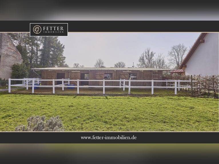 Azienda equestre in vendita nel distretto di Kitzingen con una moderna abitazione del 2019 e capacit