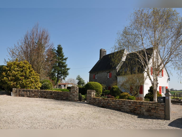 Azienda equestre privata di alta qualità