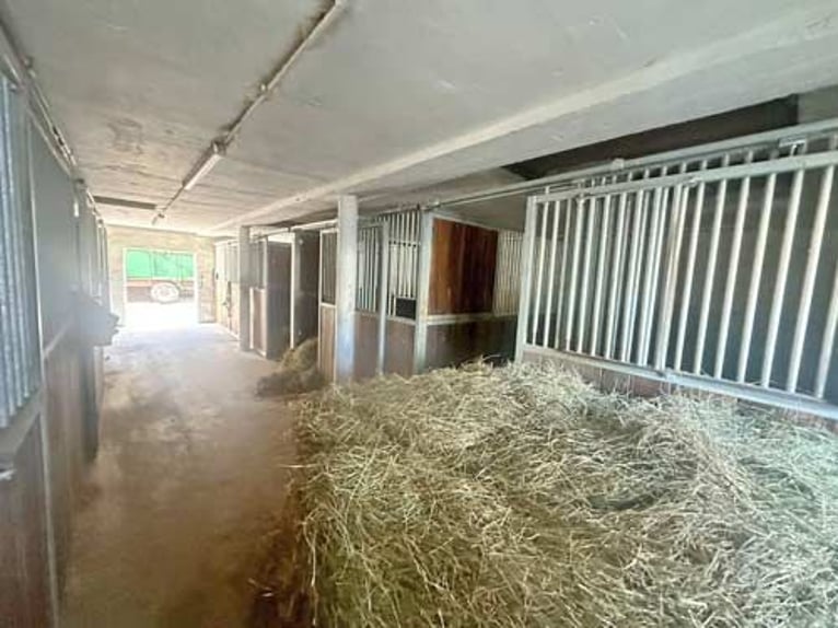 Baden Württemberg, Landkreis Heilbronn - Reitanlage zu verkaufen!
